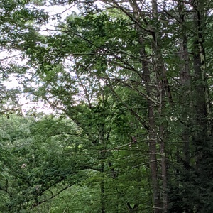 PXL_20210805_234652340.jpg