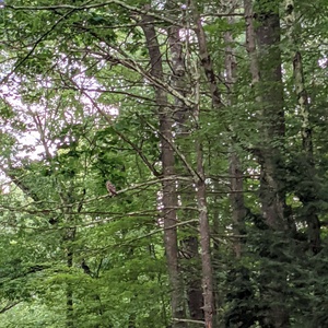 PXL_20210805_234709753.jpg