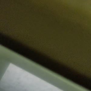 PXL_20210810_124715730.mp4