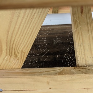 PXL_20210823_173927841.jpg