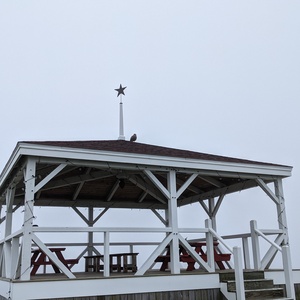 PXL_20210823_210117867.jpg