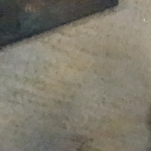 PXL_20210826_032556764.jpg