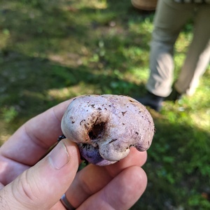 PXL_20210925_143320763.jpg