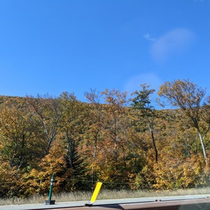 PXL_20211008_155849995.jpg