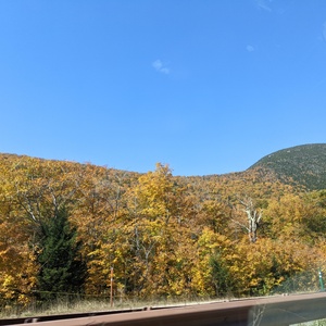 PXL_20211008_155851454.jpg