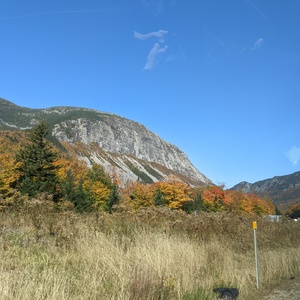 PXL_20211008_155923134.jpg