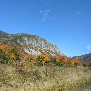 PXL_20211008_155923990.jpg