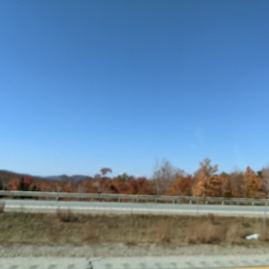 PXL_20211008_160357932.jpg