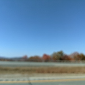 PXL_20211008_160410684.jpg
