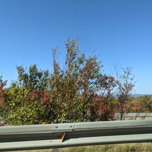 PXL_20211008_160426973.jpg
