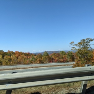 PXL_20211008_160427730.jpg