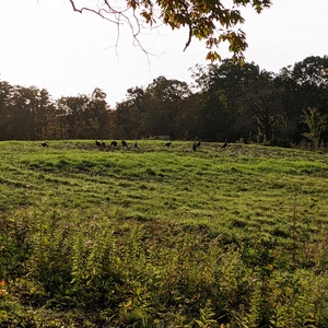 PXL_20211011_121506736.jpg