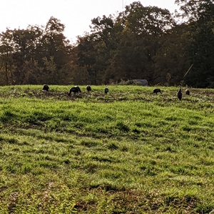 PXL_20211011_121513824.jpg