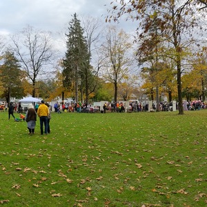 PXL_20211031_193229503.PANO.jpg