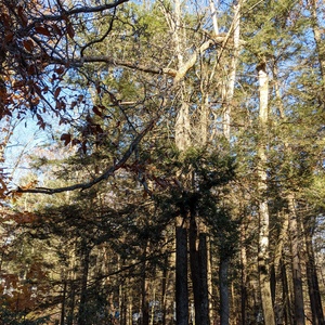 PXL_20211120_135416908.jpg