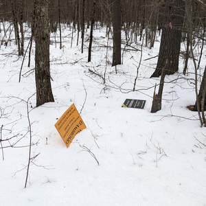 PXL_20220305_192701457.jpg