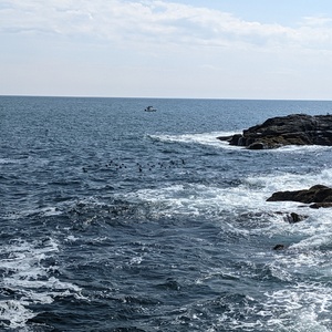 PXL_20220827_175144549.jpg