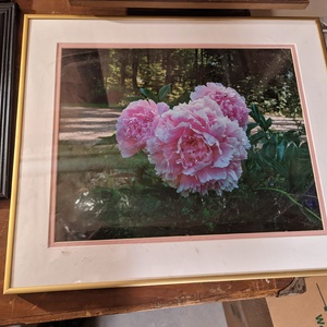 PXL_20220904_191721443.jpg