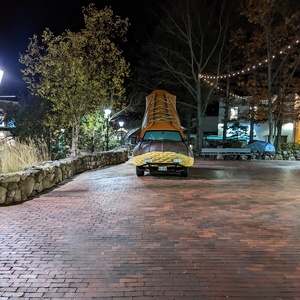 PXL_20221030_051736353.jpg