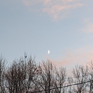 PXL_20221030_214817287.jpg