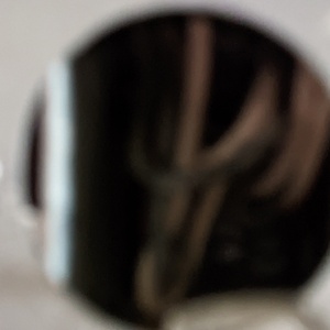 PXL_20221103_161610341.NIGHT.jpg
