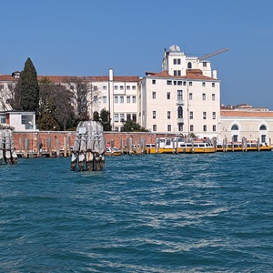 PXL_20230305_112357930.jpg