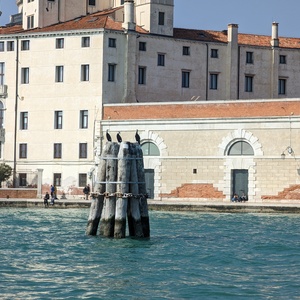 PXL_20230305_112453150.jpg