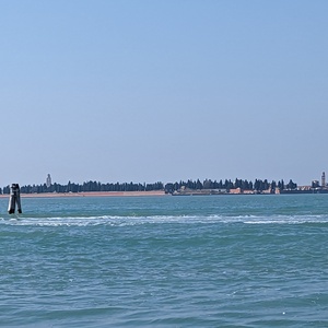 PXL_20230305_114754809.jpg