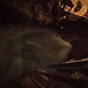 PXL_20230309_210731825.NIGHT.jpg
