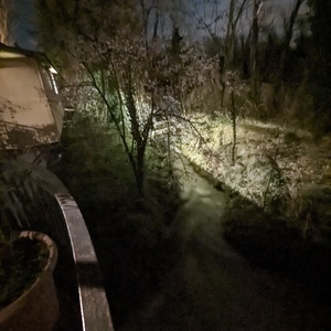 PXL_20230309_210758453.NIGHT.jpg