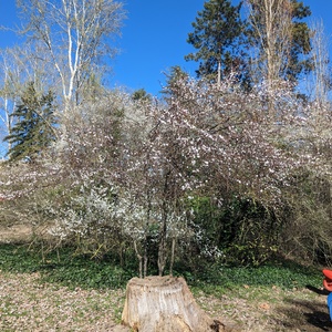 PXL_20230311_133631385.jpg