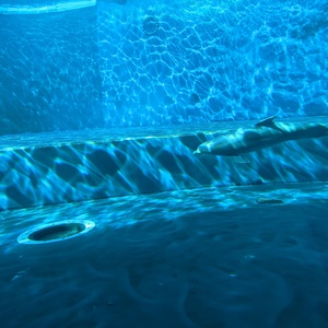 PXL_20230312_150340411.jpg