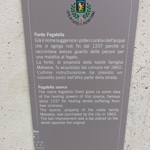 PXL_20230315_125609425.jpg