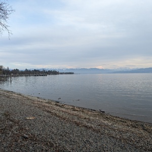 PXL_20230318_164305731.jpg