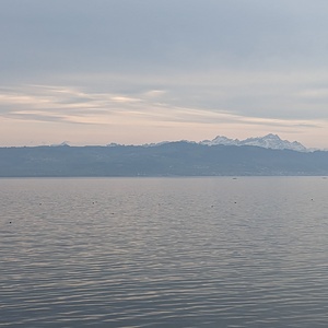 PXL_20230318_164310874.jpg