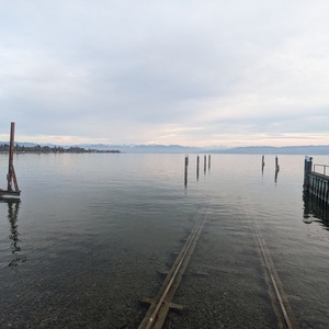 PXL_20230318_165900010.jpg