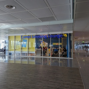 PXL_20230320_150017336.jpg
