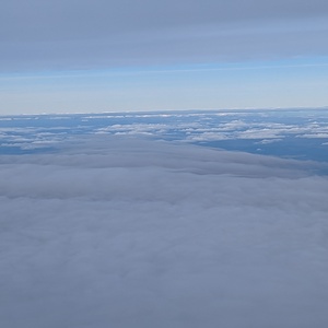 PXL_20230321_151345782.jpg