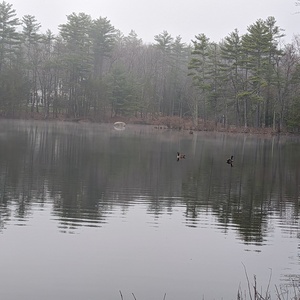 PXL_20230416_133210427.jpg