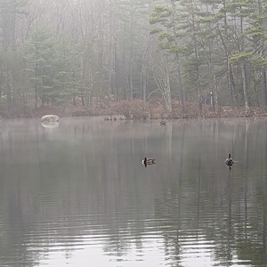 PXL_20230416_133218584-edited.jpg