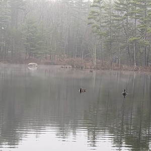 2023-04_April