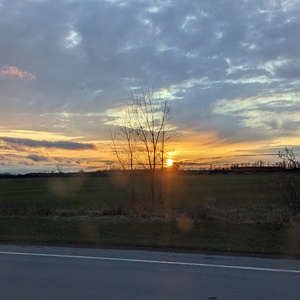 PXL_20230424_234450677.jpg