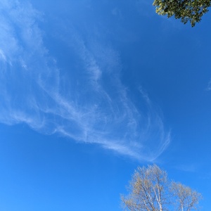 PXL_20230506_130417286.jpg