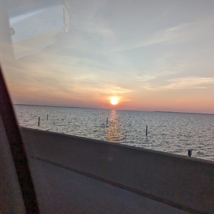 PXL_20230515_110358438.jpg