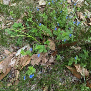 PXL_20230520_143129126.jpg