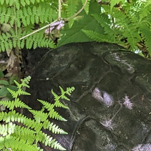PXL_20230618_194828822.jpg