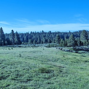 PXL_20230719_143104891.jpg