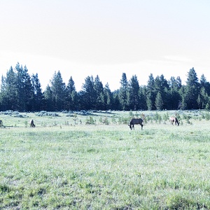 PXL_20230719_143120196.jpg