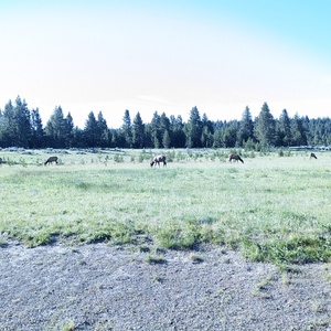 PXL_20230719_143157632.jpg