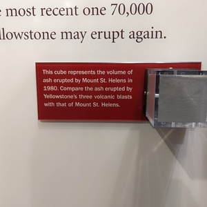 PXL_20230719_144354339.jpg